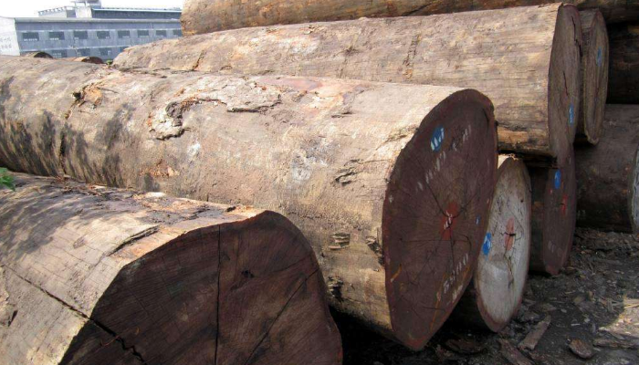 進(jìn)口報(bào)關(guān)代理