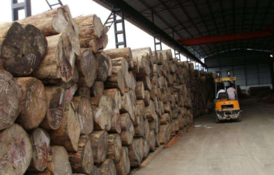 世界各地原木板材進(jìn)口報(bào)關(guān)的知識(shí)