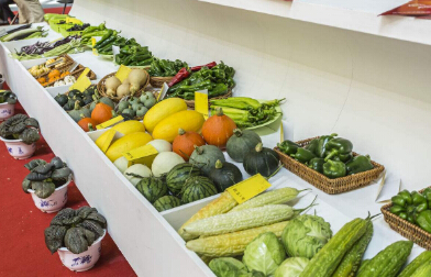 又一波關(guān)稅下調(diào)來(lái)襲食品進(jìn)口報(bào)關(guān)迎來(lái)新機(jī)遇