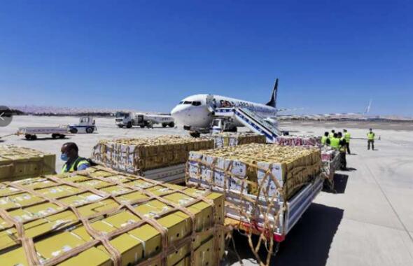 海運進口紅酒清關需要注意哪些事項？