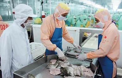 食品進(jìn)口報(bào)關(guān)有哪些關(guān)鍵點(diǎn)和注意事項(xiàng)？