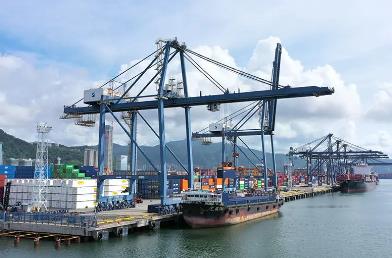 選擇木材進口報關(guān)代理機構(gòu)的注意事項有哪些？