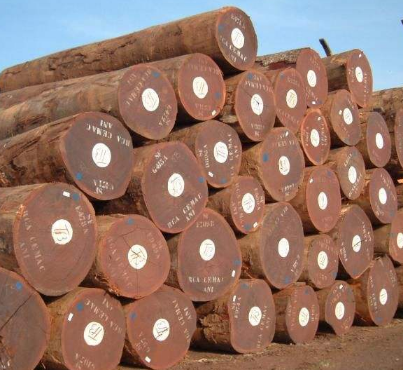 深圳外貿(mào)公司-進(jìn)口沙比利原木操作案例